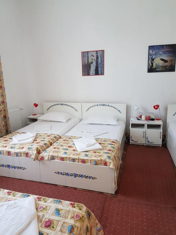 Pensiunea Geostar 2 Куртя-де-Арджеш Экстерьер фото
