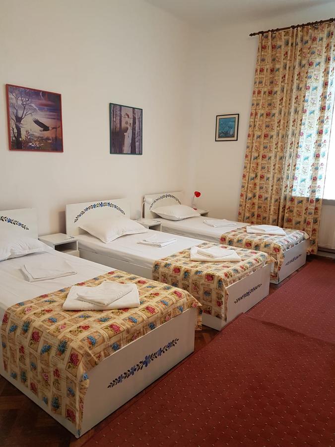 Pensiunea Geostar 2 Куртя-де-Арджеш Экстерьер фото