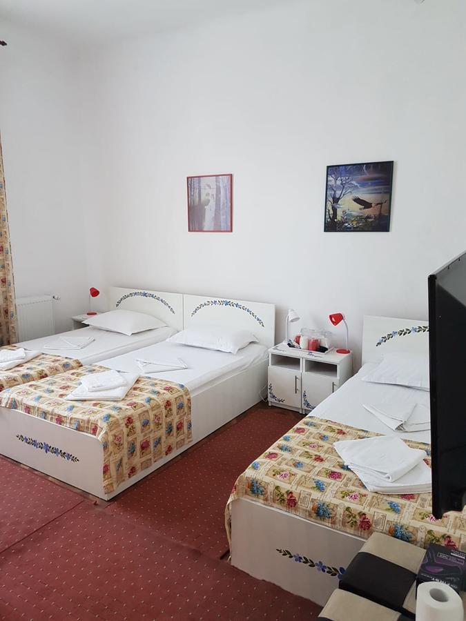 Pensiunea Geostar 2 Куртя-де-Арджеш Экстерьер фото