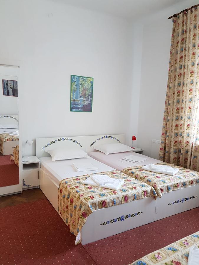 Pensiunea Geostar 2 Куртя-де-Арджеш Экстерьер фото