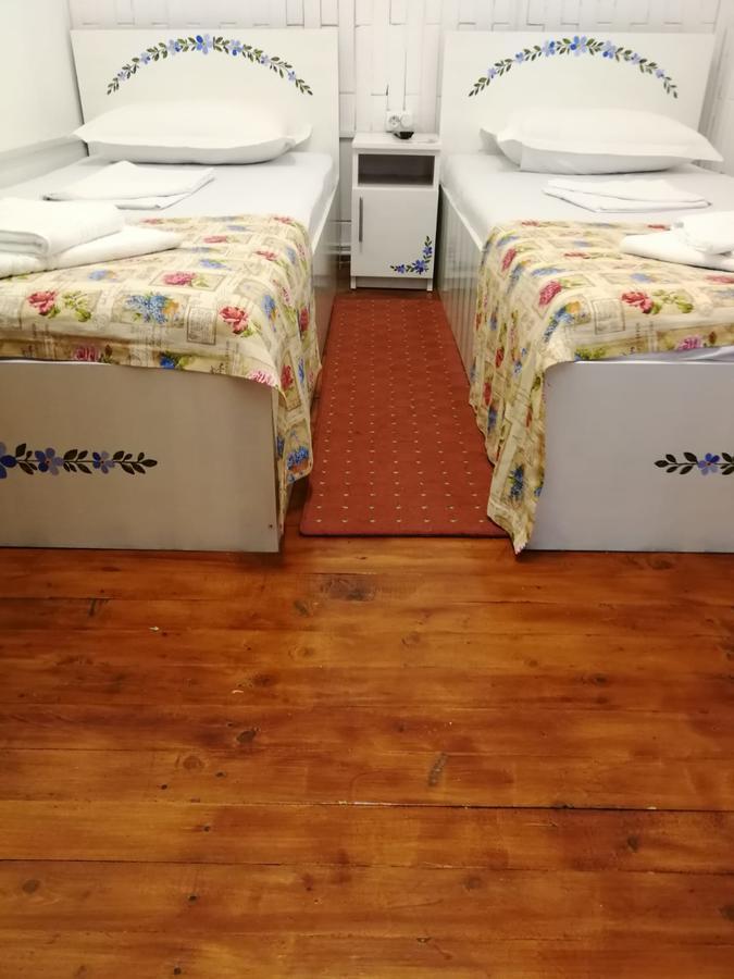 Pensiunea Geostar 2 Куртя-де-Арджеш Экстерьер фото