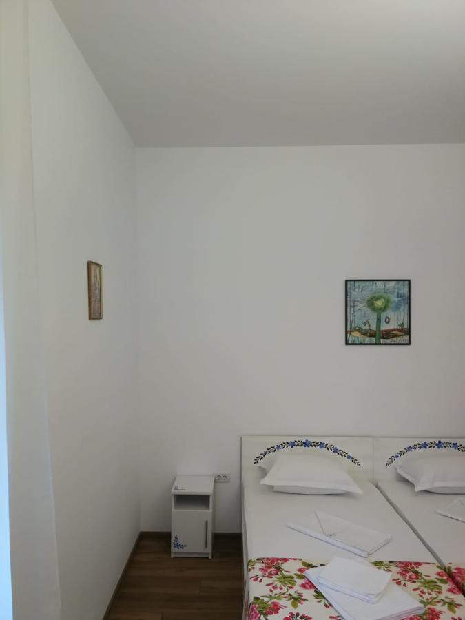 Pensiunea Geostar 2 Куртя-де-Арджеш Экстерьер фото